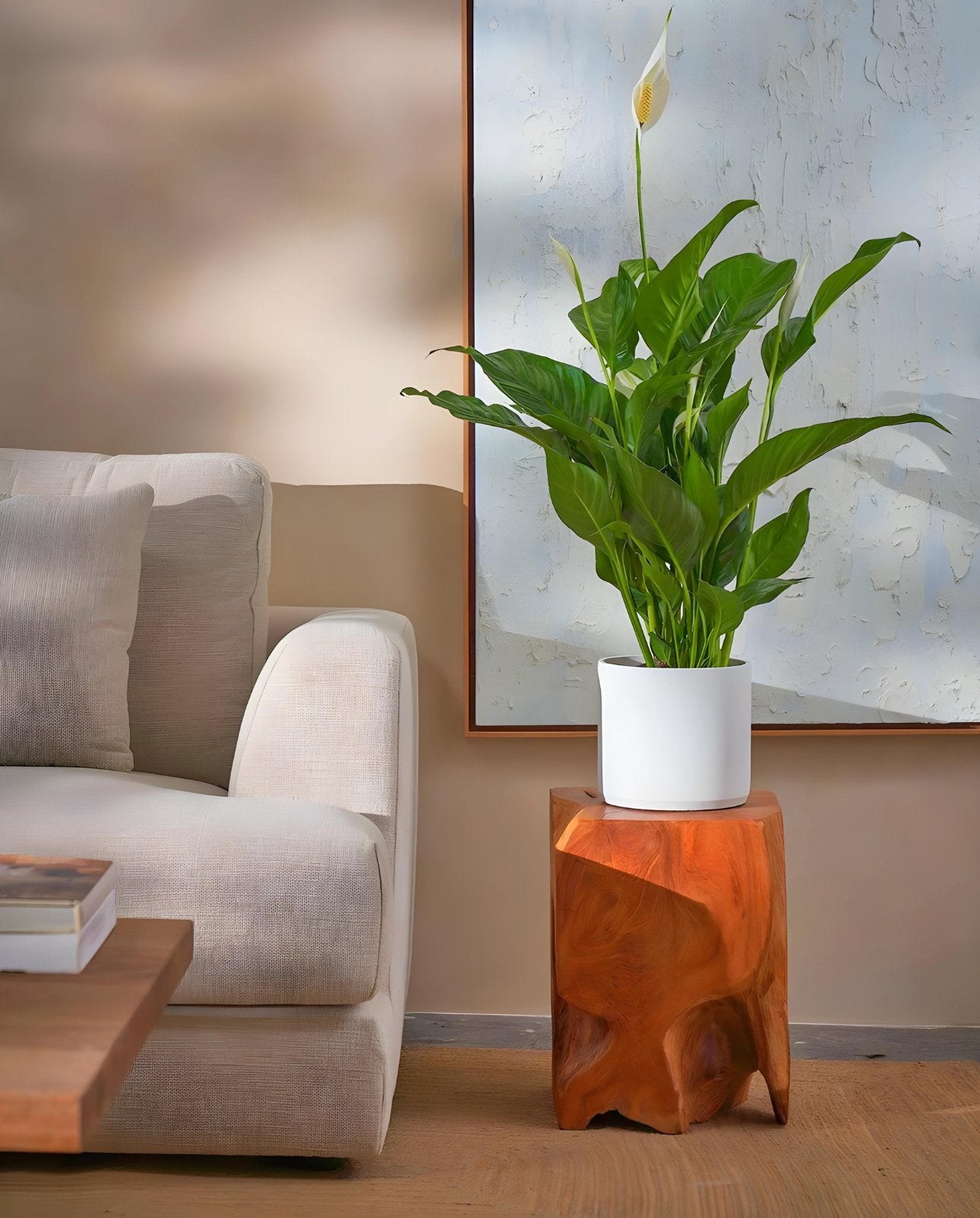 Spathiphyllum or Peace Lily "زنبق السلام"