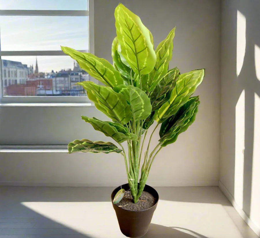 Artificial Calathea 50cm