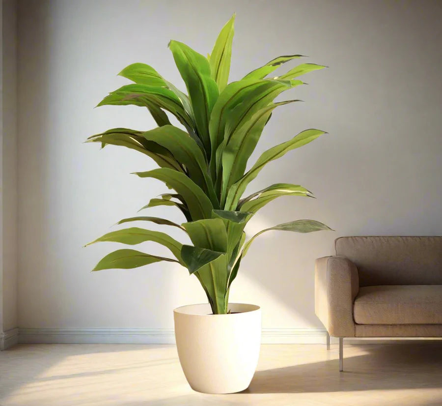 Artificial Dracaena Compacta 80cm