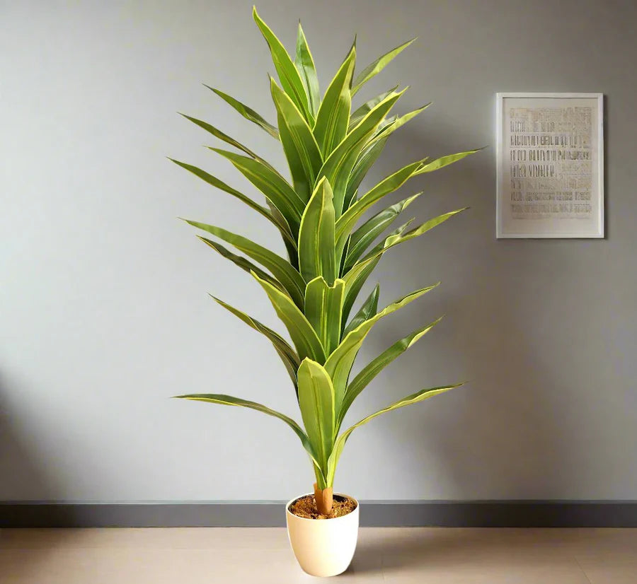Artificial Dracaena fragrans “Golden Coast” 130cm