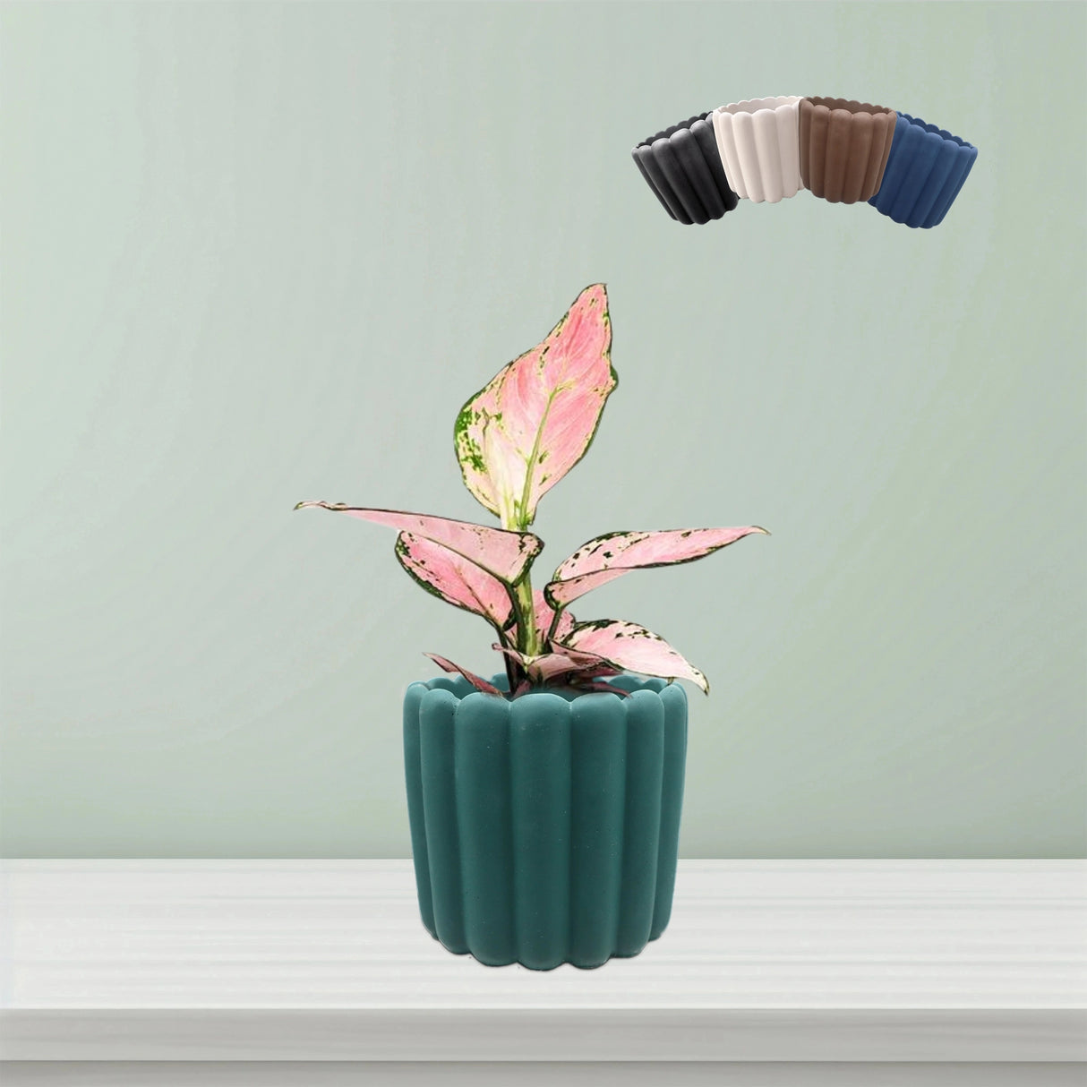 Babu Ribbed Pot "Small" : Dimensions: 10 cm x 8 cm (Diameter x Height)