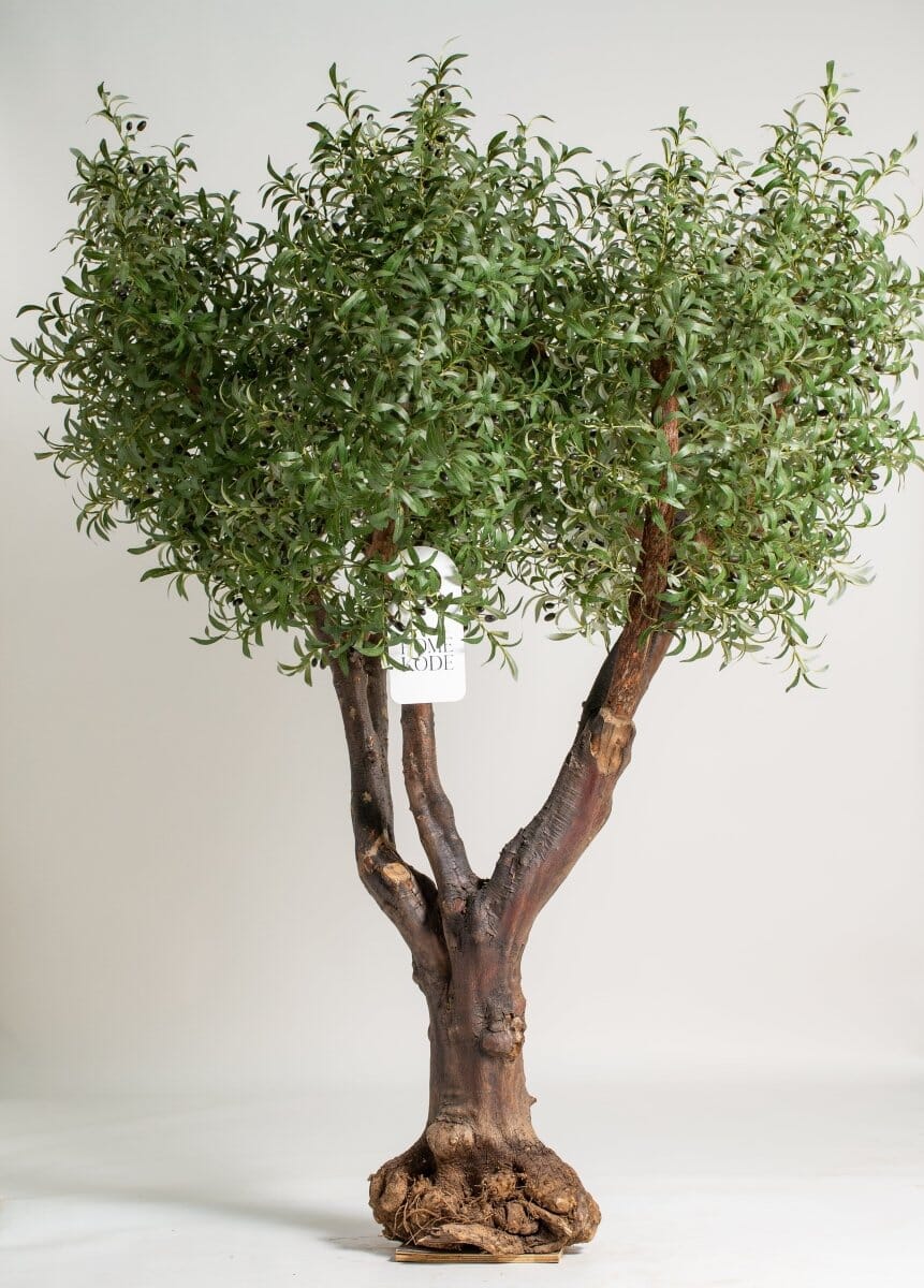 Natural Trunk Olive Tree with Artificial Leaves