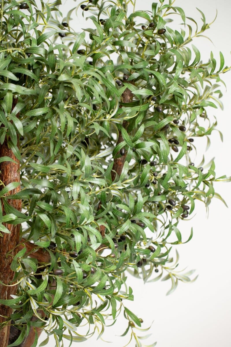 Natural Trunk Olive Tree with Artificial Leaves