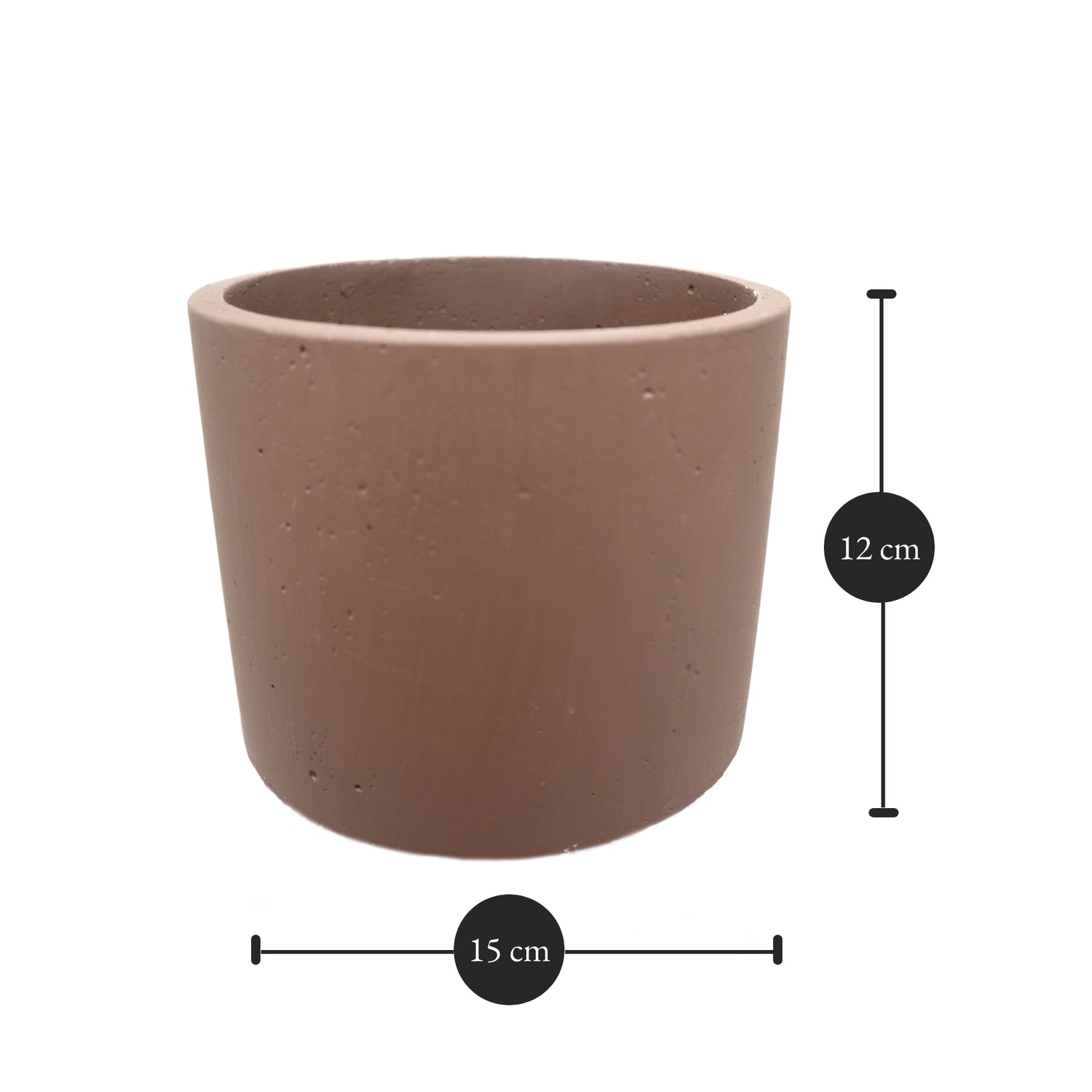 Fittonia, Nerve or Mosaic Plant 5-10cm Spread