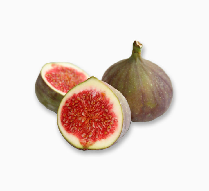 Ficus carica "Fig Tree" 1.0m - 1.7m شجرة التين