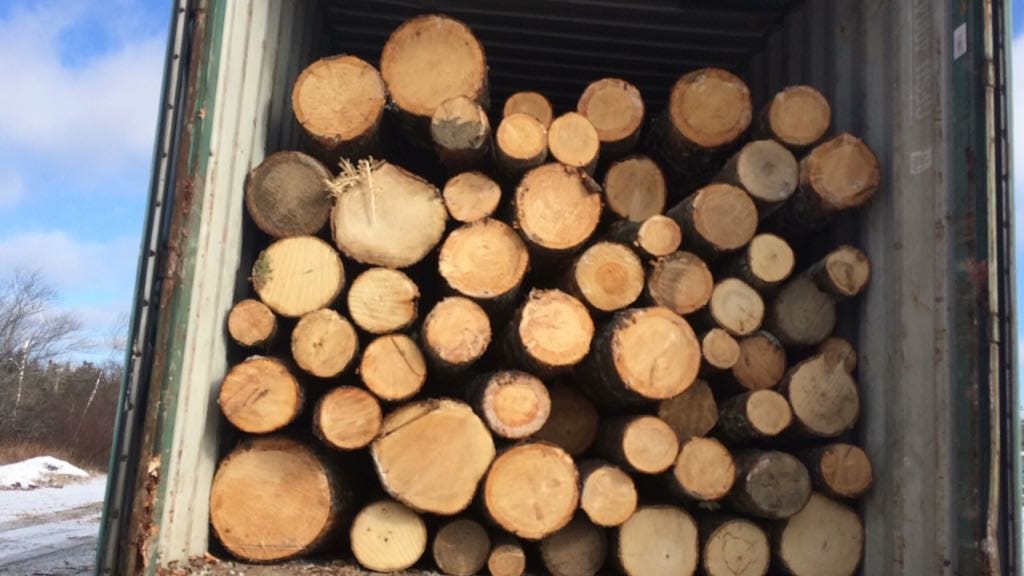 Pine Flakes or Shavings "Horse Bedding" 14KG