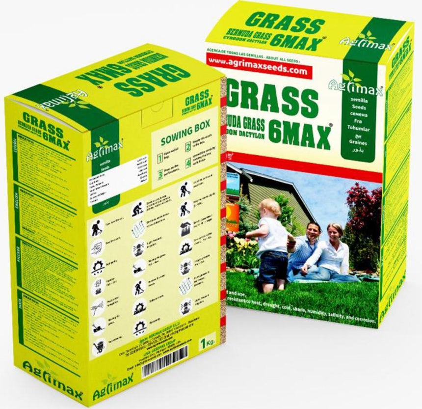 Bermuda Grass 6Max Seeds "Cynodon Dactylon" 1kg