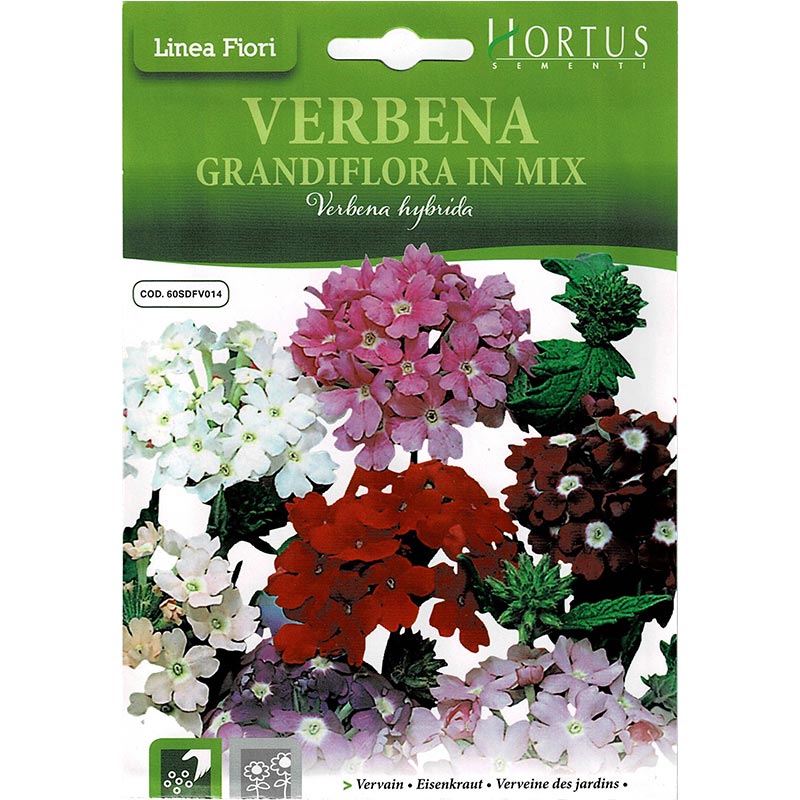 Vervain Mix "Verbena Grandiflora In Mix" Premium Quality Seeds by Hortus