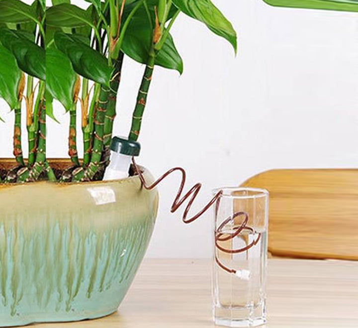 Automatic Plant Ceramic Waterers “set of two”