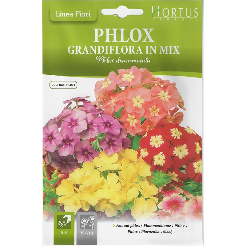 Phlox Mix "Phlox Grandiflora In Mix" Premium Quality Seeds by Hortus Sementi