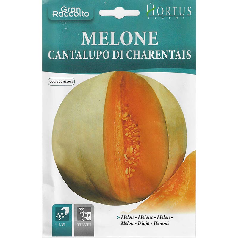 Melon "Melone Cantalupo Di Charentais" Seeds by Hortus