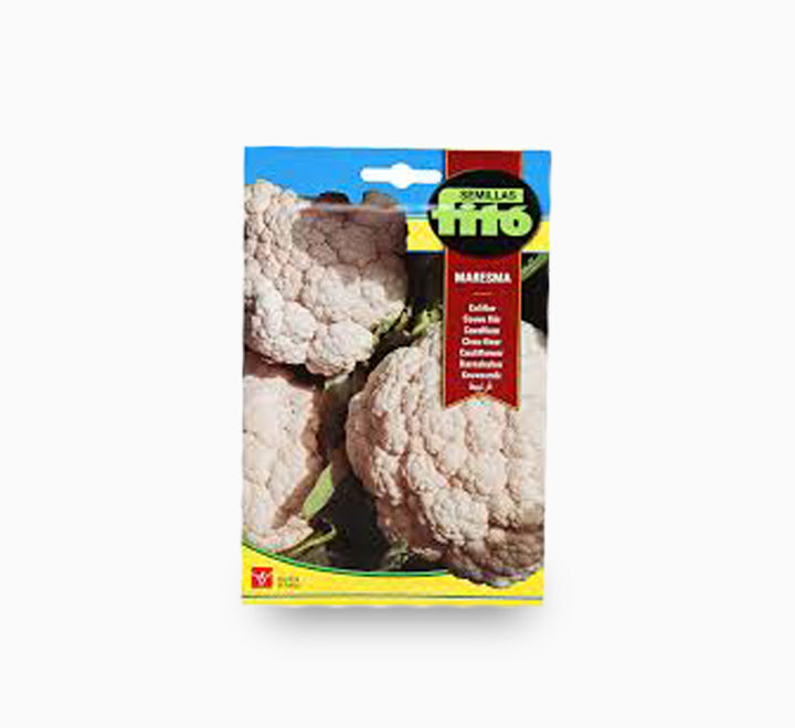 Cauliflower Maresma 4g - Fito