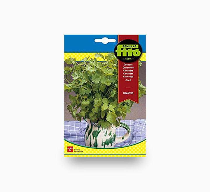 Coriander Seeds 20g - Fito
