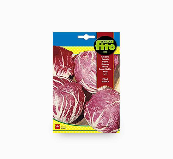 Fito Corn Salad Big Grain