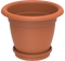 Plant Pots & Containers