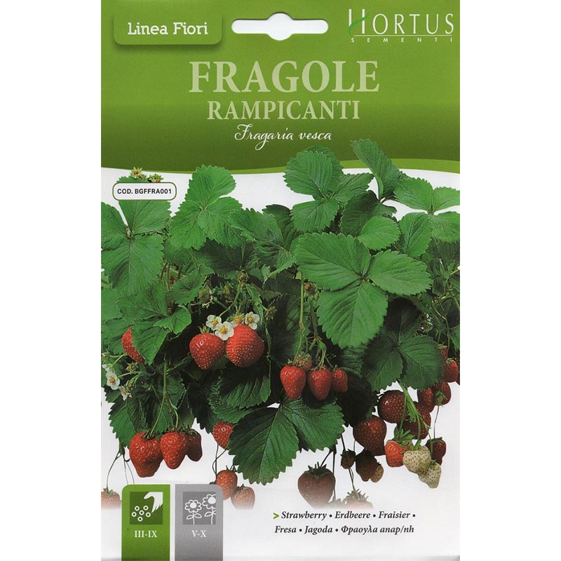 Strawberry "Fragole Rampicanti" Seeds by Hortus