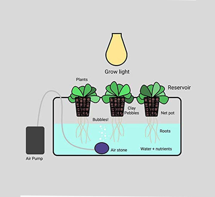 GROWFAST HYDRO STONE