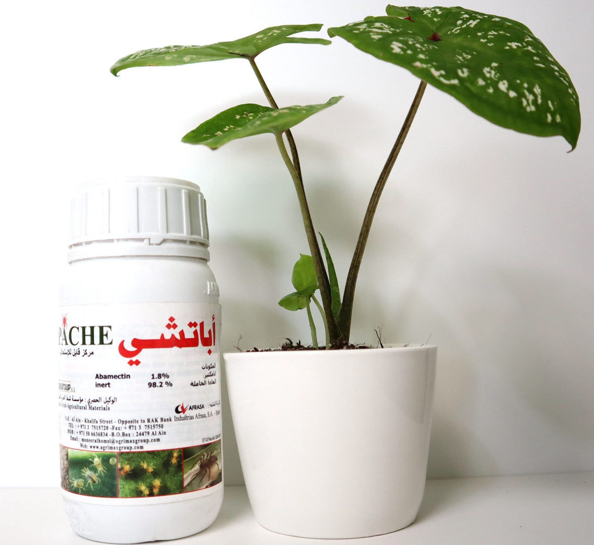 Apache 1.8% EC "Acaricide & Insecticide"