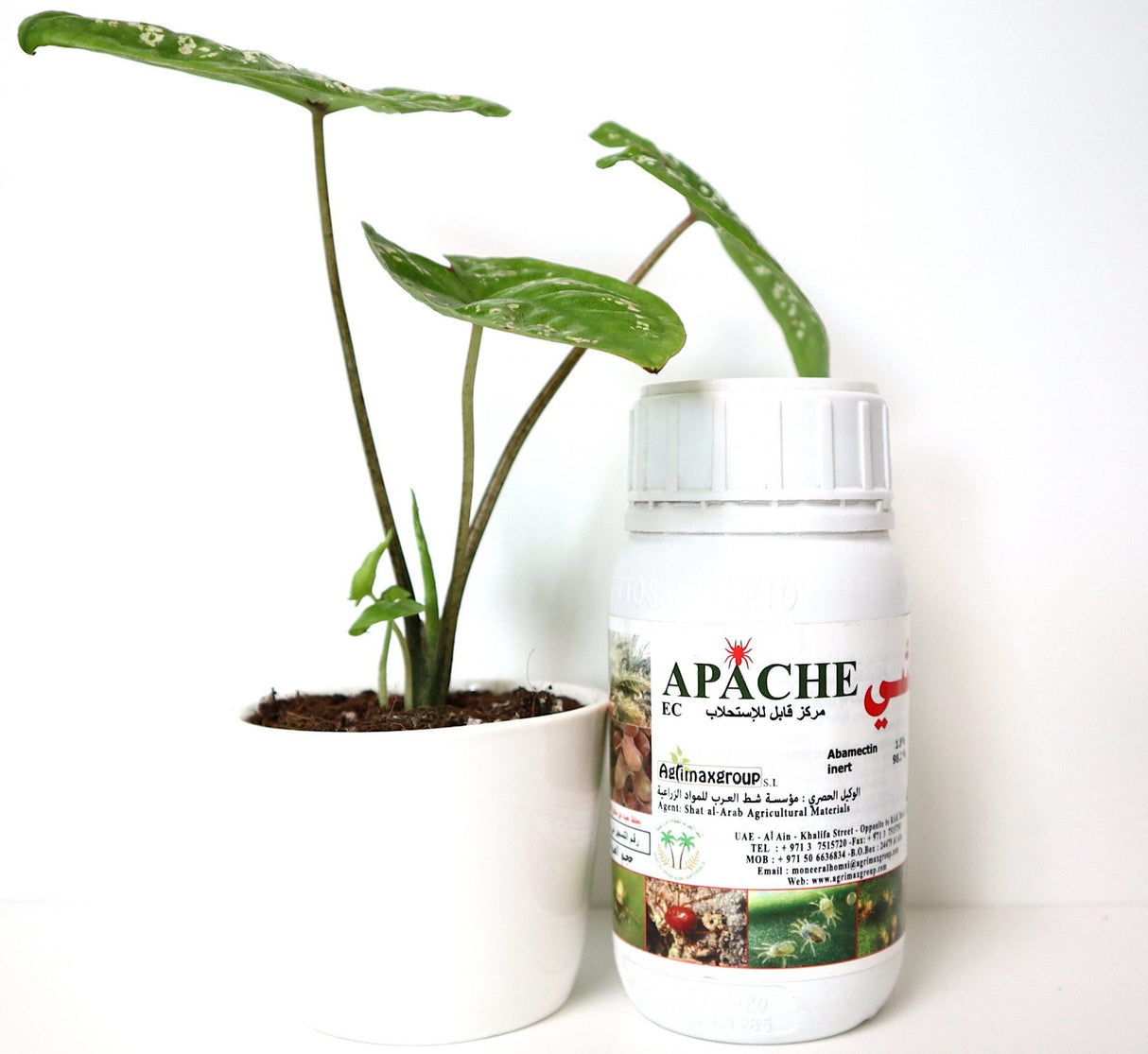 Apache 1.8% EC "Acaricide & Insecticide"