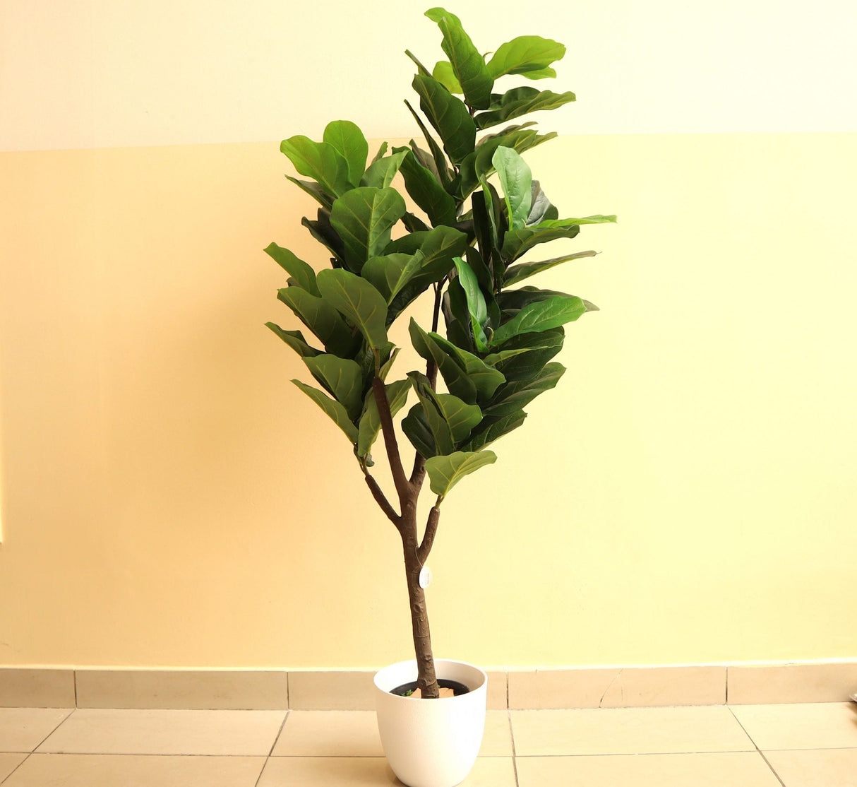 Artificial Ficus lyrata or Fiddle Leaf Fig Tree 1.5m