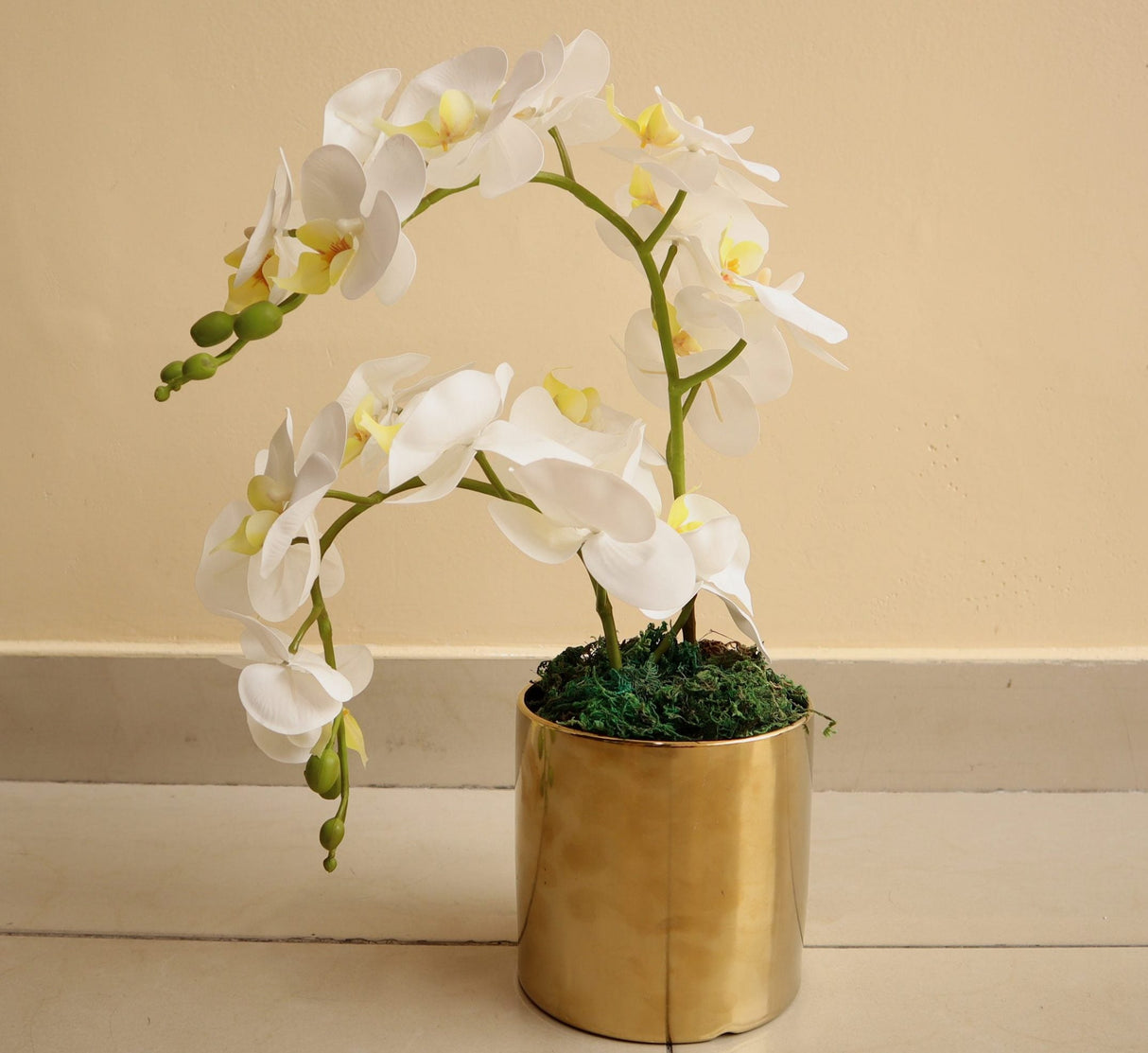 Artificial White Orchids 50cm