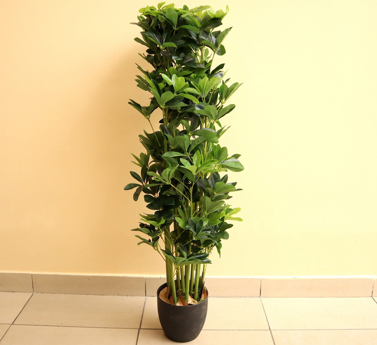 Artificial Schefflera arboricola "Green" 120cm