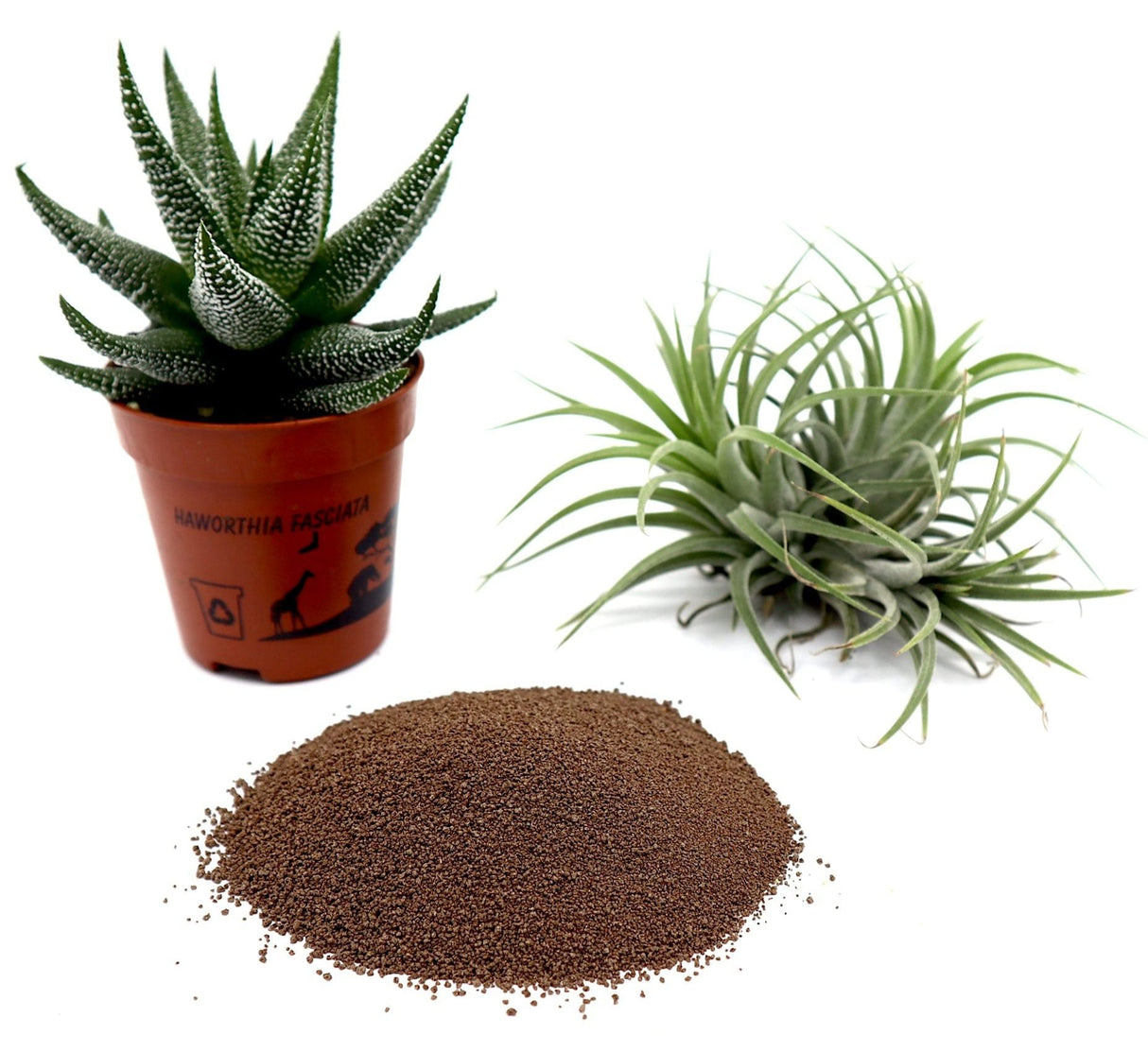 Disper CaB Best for Boron & Calcium Deficiencies