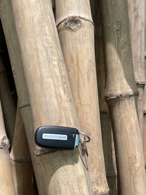 Bamboo pole 3m Length Strong Natural Bamboo, Bamboo Structure Pole