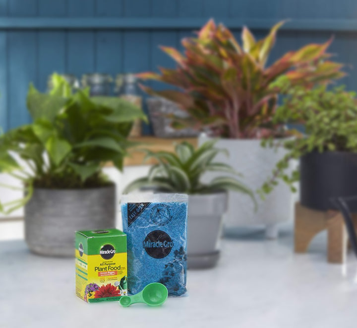 Miracle-Gro Water Soluble All Purpose Plant Food