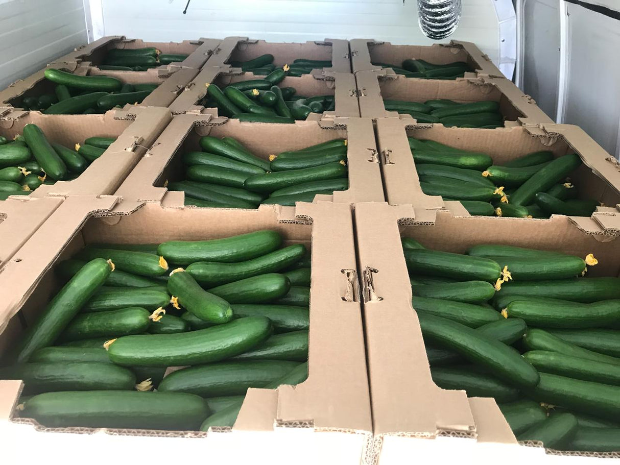 GreenHouse Construction for Organic or Hydroponic Crops