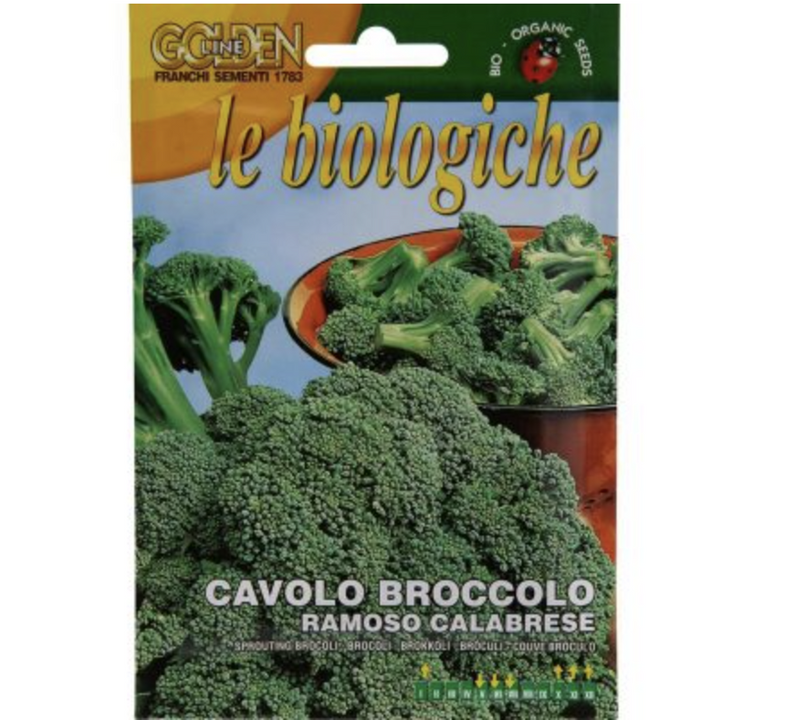 Sprouting Broccoli "Cavolo Broccolo Ramoso Calabrese" Organic Seeds by Franchi