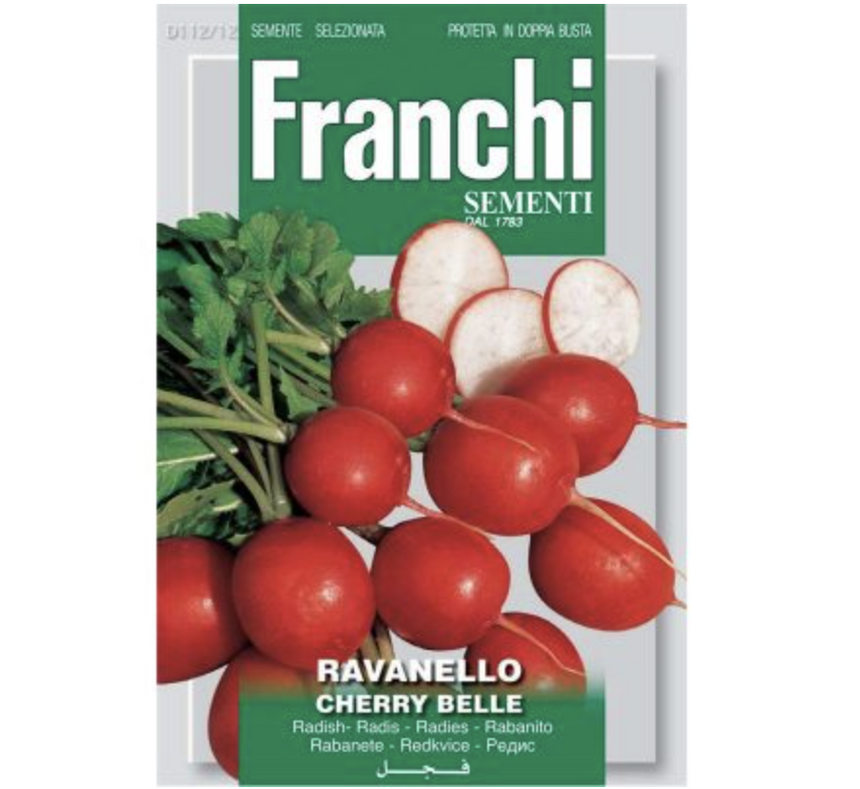 Radish "Ravanello Cherry Belle" Organic Seeds by Franchi