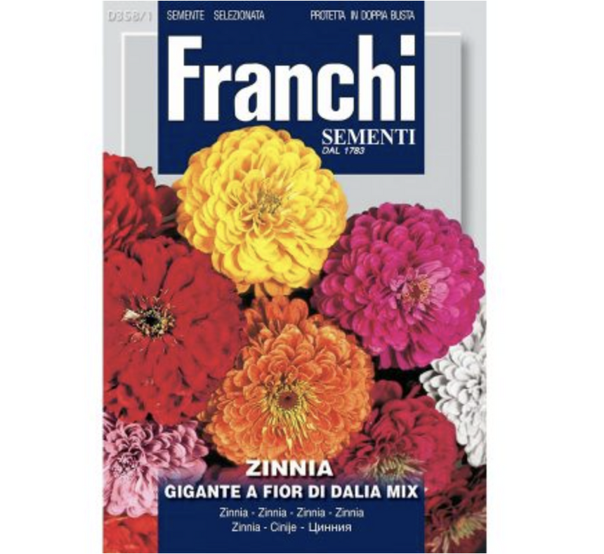 Zinnia Dahlia Mix "Gigante A Fior Di Dalia" Seeds by Franchi
