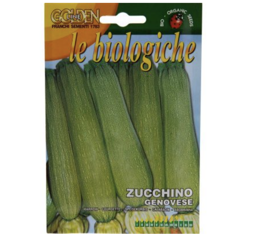 Marrow "Zucchino Genovese" Organic Seeds by Franchi
