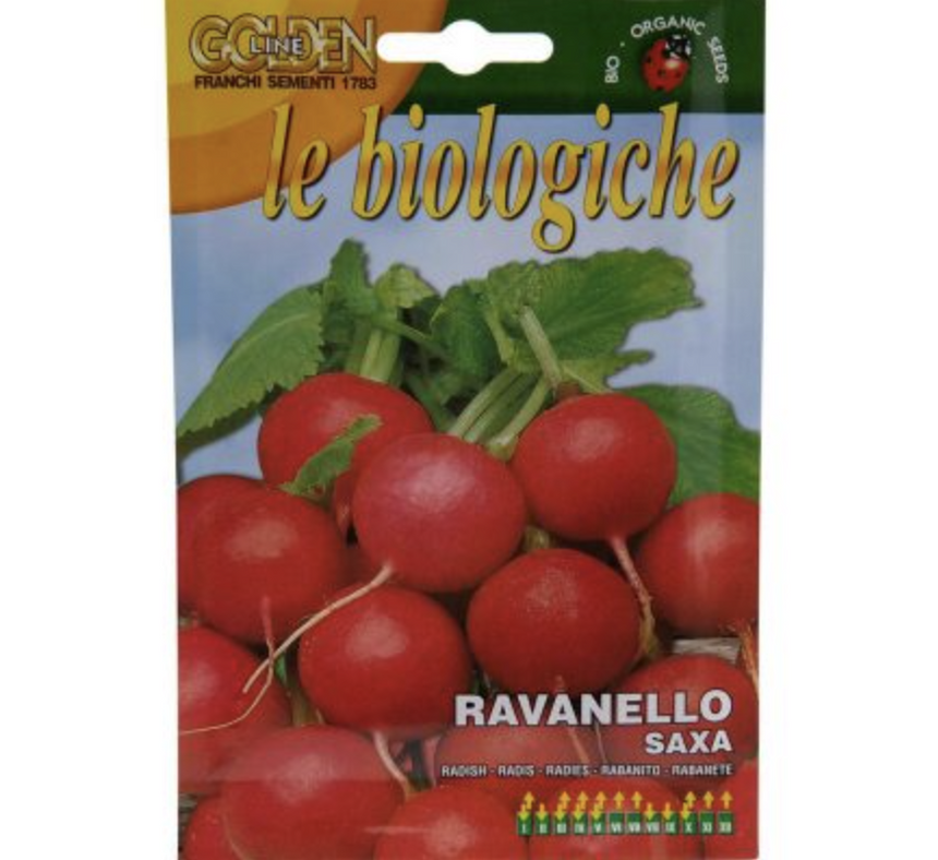 Radish "Ravanello Saxa" Organic Seeds by Franchi