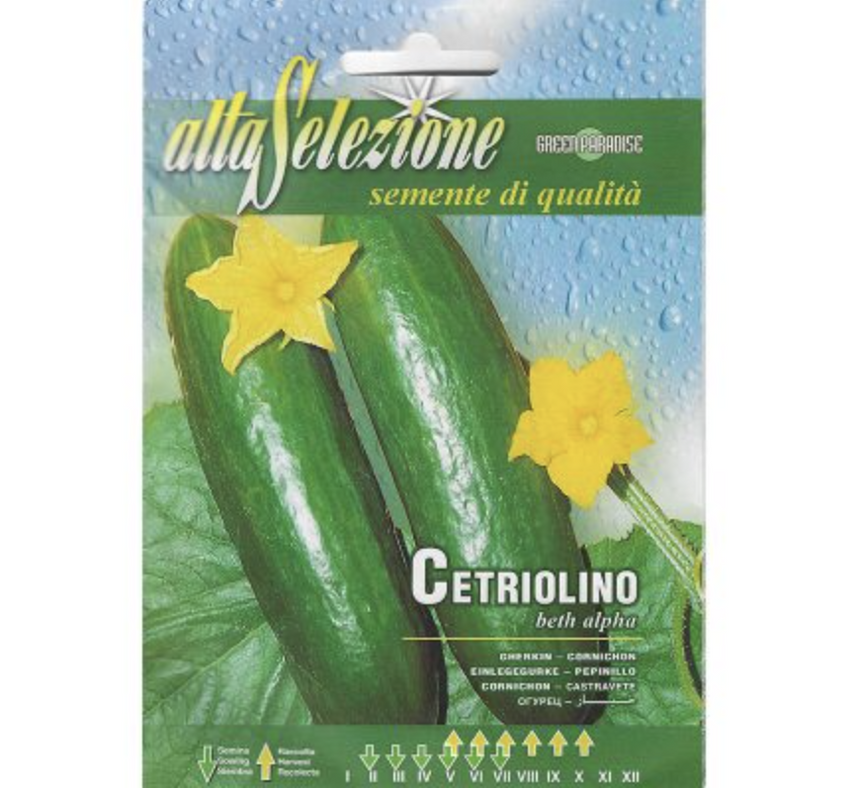 Cucumber "Gherkin Cetriolino Beth Alpha" Premium Quality Seeds by Alta Selezione
