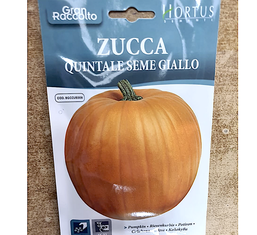 Pumpkin Vegetable Seeds "Zucca Quintale Seme Giallo" Seeds by Hortus
