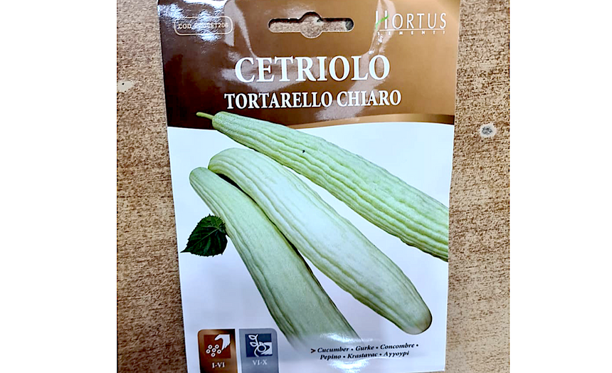 Ridged Cucumber Vegetables Seeds "Cetriolo Tortarello Chiaro" by Hortus