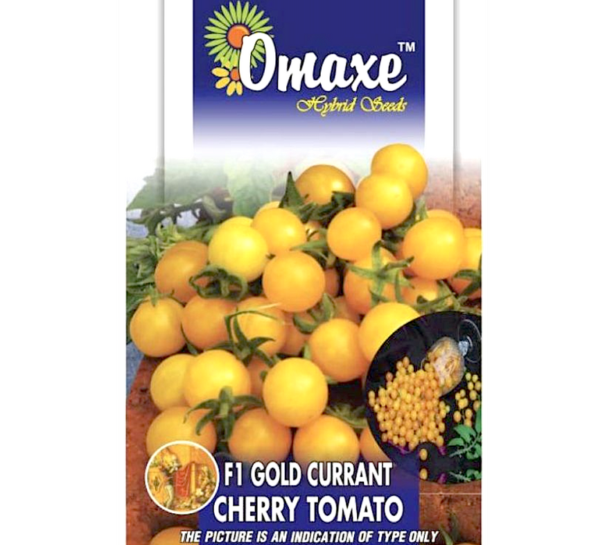 F1 Gold Currant Cherry Tomato Hybrid Seeds by Omaxe