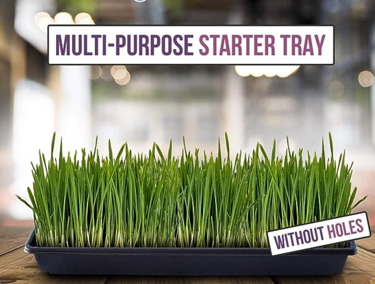 Plastic Seed Starter Tray "Plant Propagation Tray"