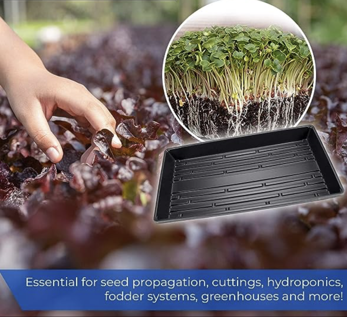 Plastic Seed Starter Tray "Plant Propagation Tray"