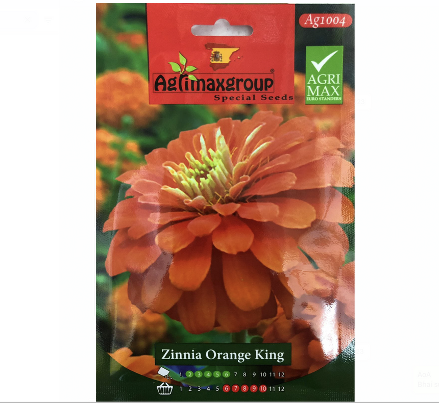 Zinnia Orange King Flower Seeds by Agrimax Spain