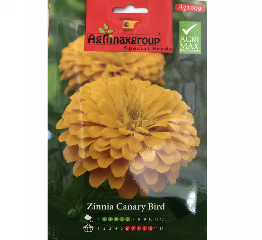Zinnia Canary Bird Flower Seeds by Agrimax Spain