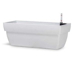 Selfie Ractangular Synthetic Pot