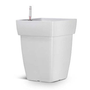 Selfie Square Synthetic Pot