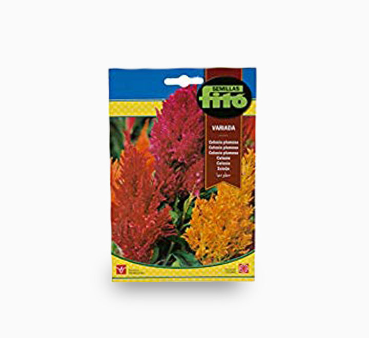 CelosÃa Plumosa Variada - Fito Seeds