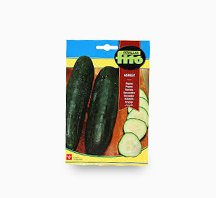 Semillas Fito Cucumber Ashley 10g - Fito