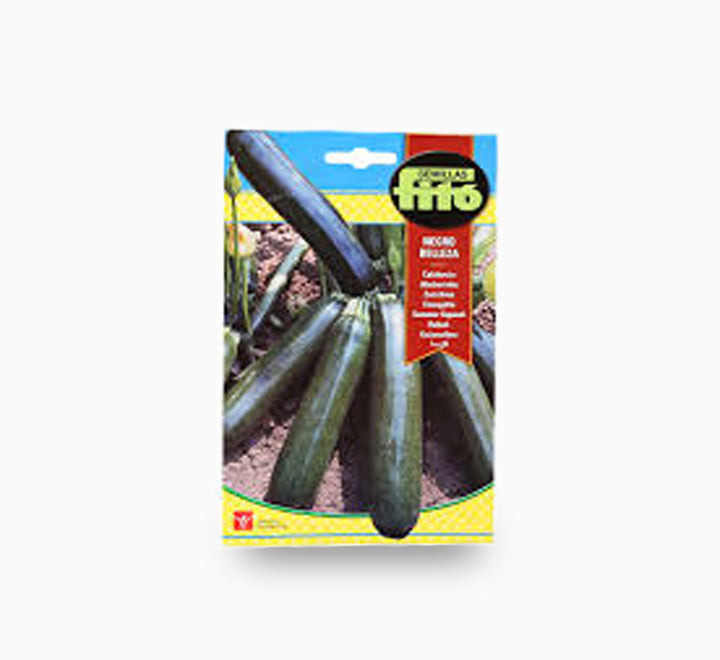 Summer Squash Negro Belleza 10g - Fito