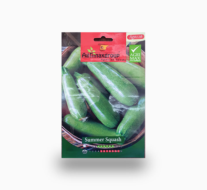 Summer Squash Agrimax seeds