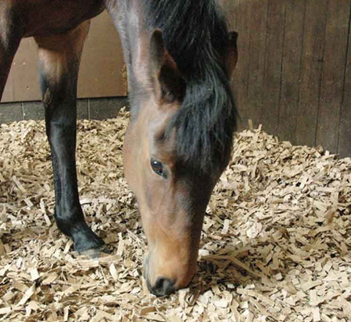 Pine Flakes or Shavings "Horse Bedding" 14KG